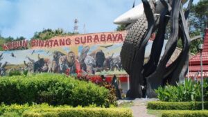 kebun binatang surabaya 169