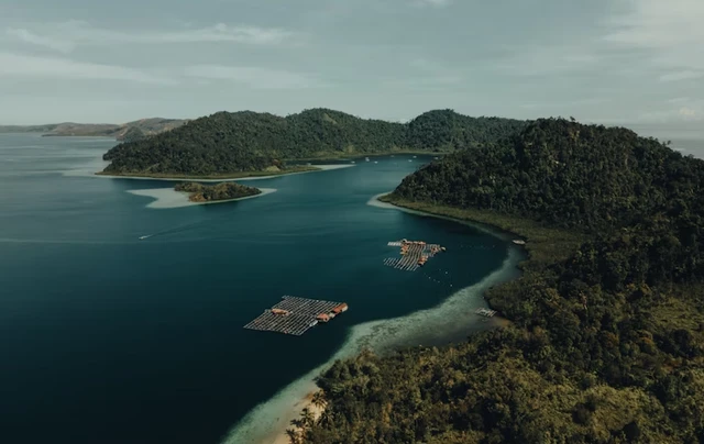 Misteri Suaka Margasatwa 2025: 7 Fakta Mencengangkan yang Jarang Diketahui