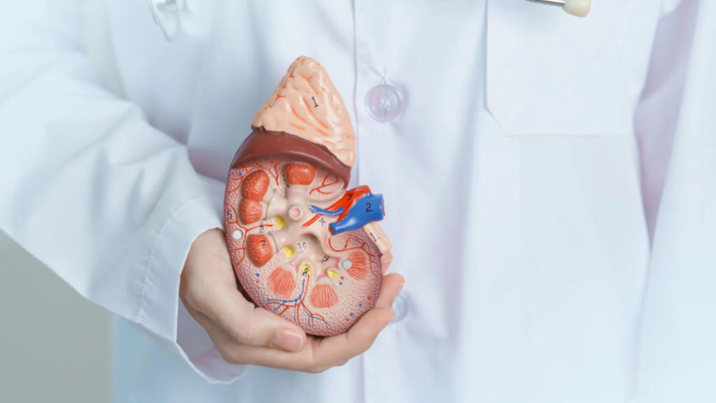 Vidi Aldiano Wafat 5 Fakta Pneumonia Sebelum Meninggal