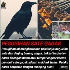 sebelum jadi sate gagak hitam
